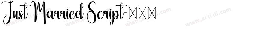Just Married Script字体转换